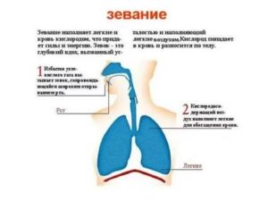 Почему не могу вздохнуть глубоко причины