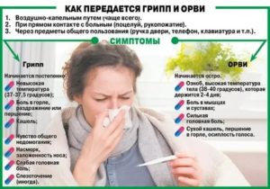 Сколько дней заразен кашель