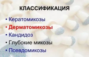 Грибок в крови симптомы лечение