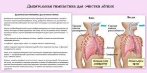 Дыхательная гимнастика для легких и бронхов