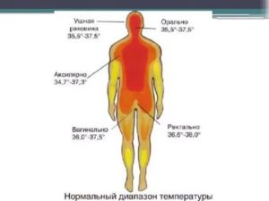 Тело горит изнутри а температуры нет