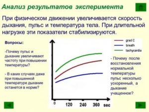 Пульс при повышенной температуре тела