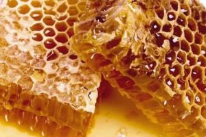 Полезно ли жевать соты с медом