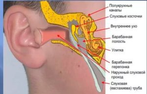 Почему давит на уши изнутри