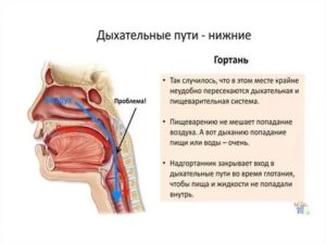 Пища попала в дыхательные пути что делать