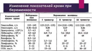 Норма лейкоцитов в крови у беременных женщин