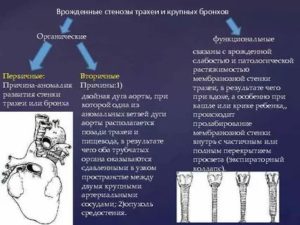 Сужение бронхов причины