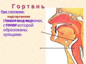 Щелкает в ухе при глотании слюны