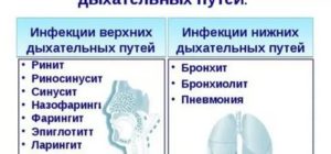 Заболевания верхних дыхательных путей у детей