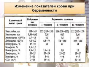 Норма лейкоцитов в крови у беременных женщин