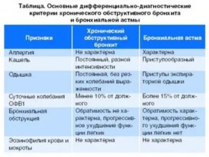 Чем отличается бронхит от бронхиальной астмы