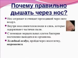 Почему нужно дышать через нос