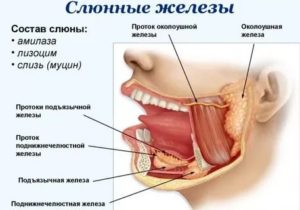 Воспаление ротовой полости и языка лечение