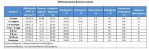 Сегментоядерные нейтрофилы норма у женщин в крови