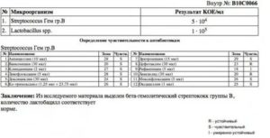 Streptococcus agalactiae 10 в 2 степени