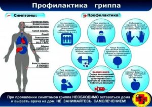 Грипп меры профилактики симптомы данного заболевания