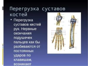 Кость окончание. Нервные окончания в костях. Нервные окончания в костной ткани.