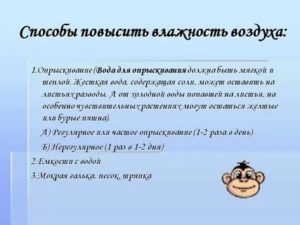 Как увеличить влажность воздуха в квартире