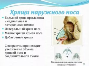 Болит хрящик носа