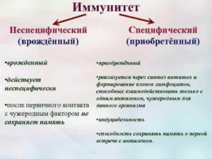 Специфический и неспецифический иммунитет кратко