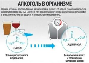 Можно ли при температуре пить алкоголь