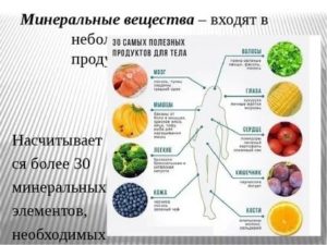 Продукты полезные для легких и бронхов