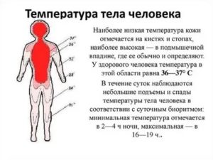 Температура то поднимается то падает у взрослого