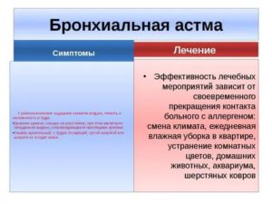 Бронхиальная астма у детей лечение комаровский