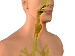 Чем лечить слизистую горла