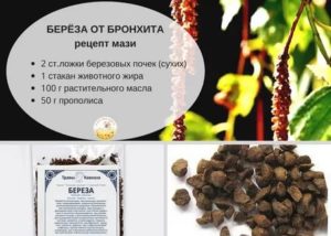 Прополис при бронхите рецепт