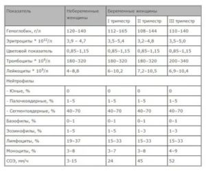Общий анализ крови расшифровка у беременных норма