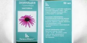 Настойка эхинацеи для иммунитета как принимать детям