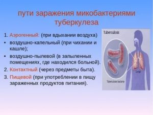 Способы заражения туберкулезом