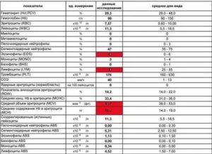 Как определить аллергию по общему анализу крови