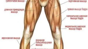 Почему болят мышцы ног без причины