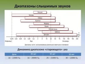 Диапазон слуха человека гц