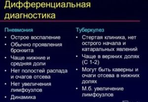 Как отличить туберкулез от бронхита