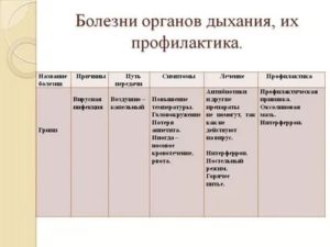 Болезни органов дыхания и их профилактика