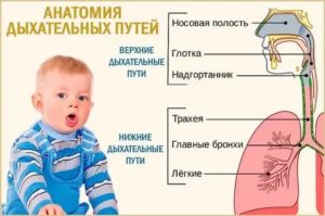Заболевания верхних дыхательных путей у детей