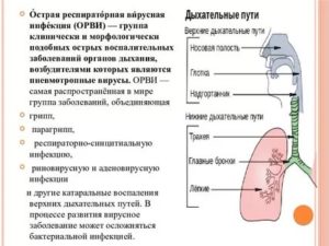 Инфекция верхних дыхательных путей лечение у детей