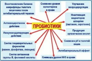 Как принимать пробиотики до или после еды