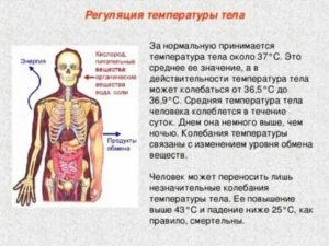 Горячее тело без температуры причины