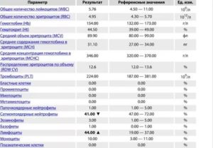 Повышенные сегментоядерные в крови