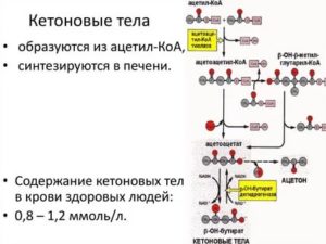 Кетоновые тела в крови