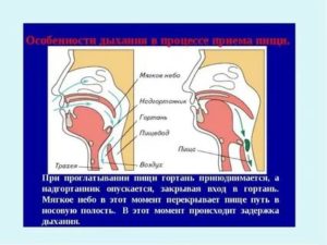 Пища попала в дыхательные пути что делать