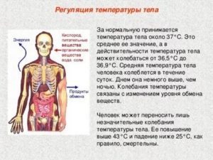 Жар изнутри без температуры причины