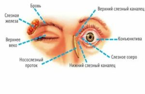 Болят и чешутся глаза причины