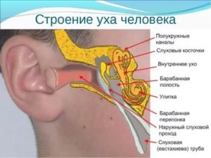 Потрескивание в ухе что это