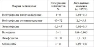 Сегментоядерные нейтрофилы норма у женщин в крови