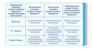 Температура после пентаксима сколько дней